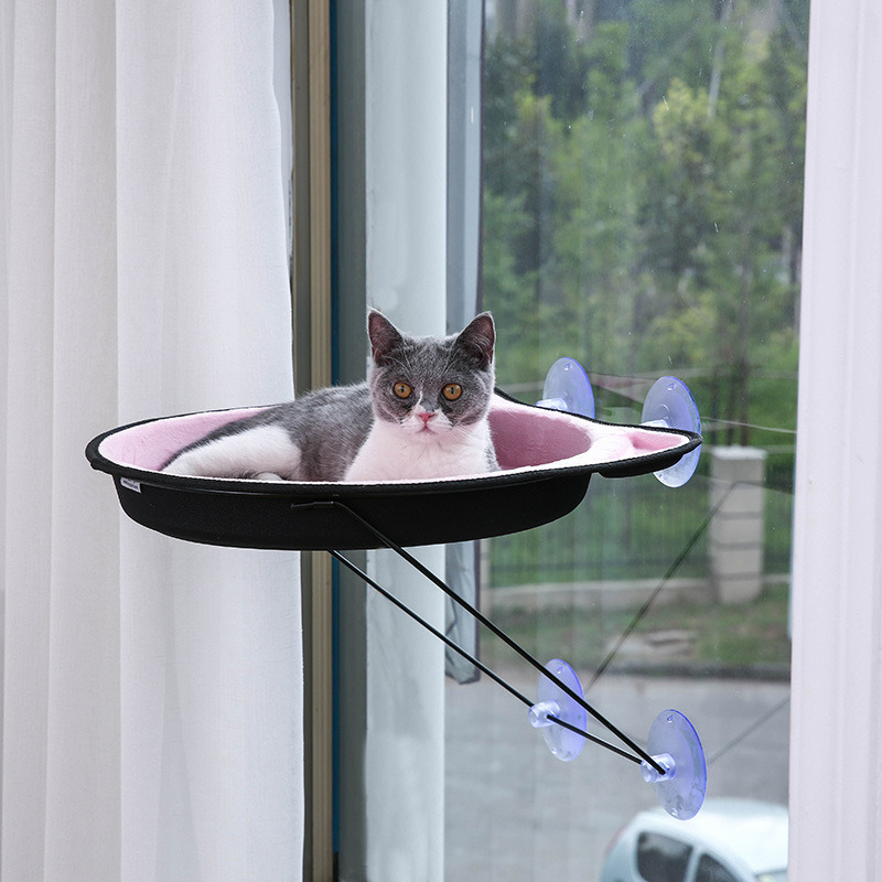 kitty hammock window